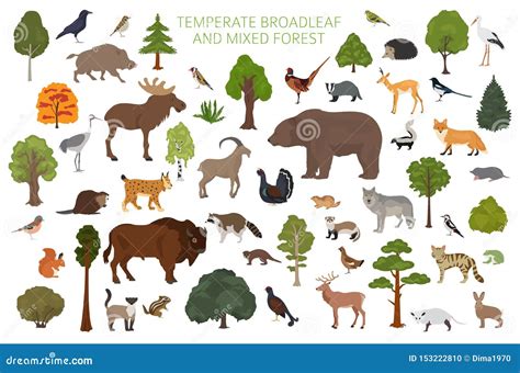 Terrestrial plant Vectors & Illustrations for Free Download .